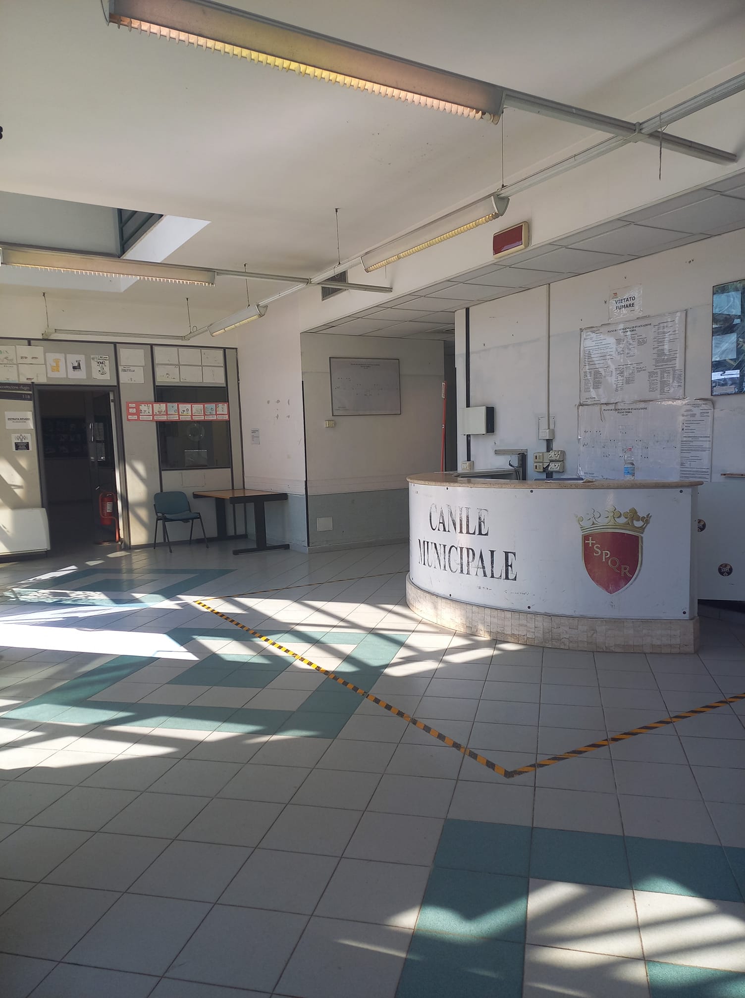 ROMA. CANILI, LISTA CALENDA SINDACO: M5S HA CREATO IL PASTICCIO