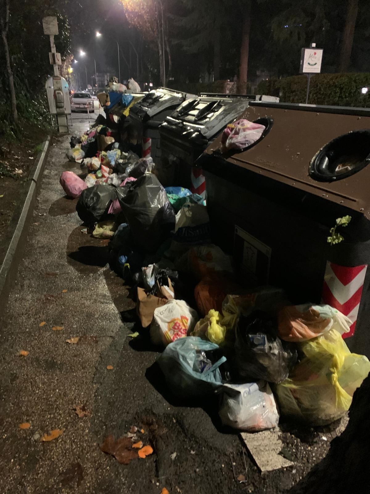 Invasione di topi nel XV Municipio di Roma causa rifiuti non ritirati da giorni, la denuncia dell'Italia dei Diritti