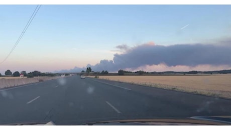 Parigi, nel video l'incendio record che sta divorando la foresta di Fontainebleau