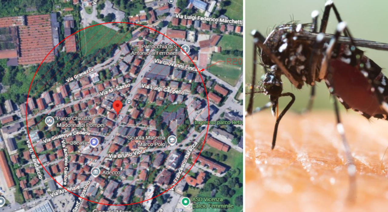 Chikungunya, nuovo caso a Vicenza: la paziente era rientrata da un viaggio all'estero. Al via la disinfestazione. La mappa e le misure per i residenti