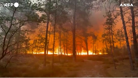 Brucia la foresta di Fontainebleau: il rogo “eccezionale” alle porte di Parigi – Video