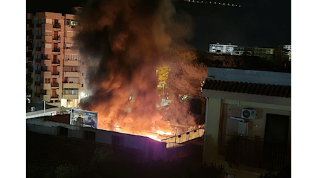 Palermo, racket e violenza: Gli scarafaggi sono tornati FOTO