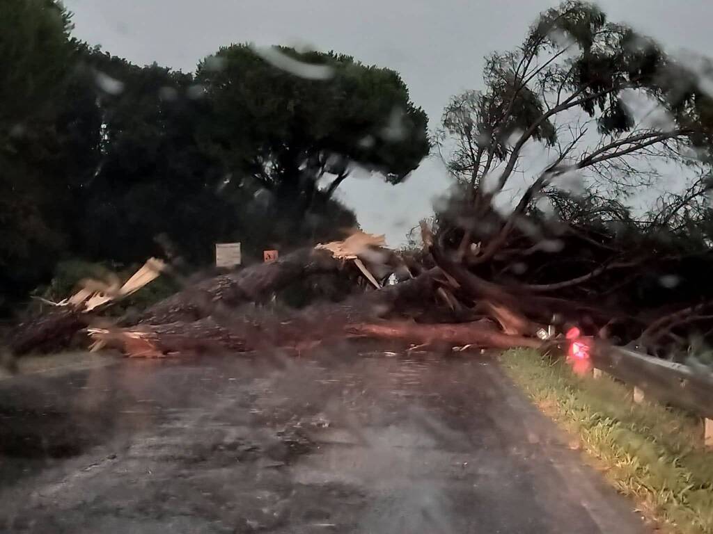 Maltempo in Emilia-Romagna, quasi mille interventi dei Vigili del fuoco: la Regione valuta lo stato di crisi