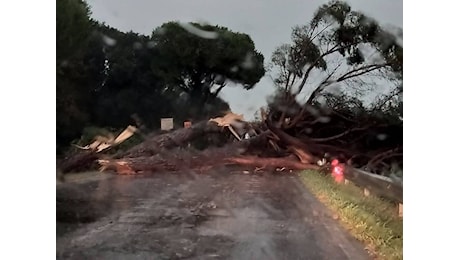 Maltempo in Emilia-Romagna, quasi mille interventi dei Vigili del fuoco: la Regione valuta lo stato di crisi