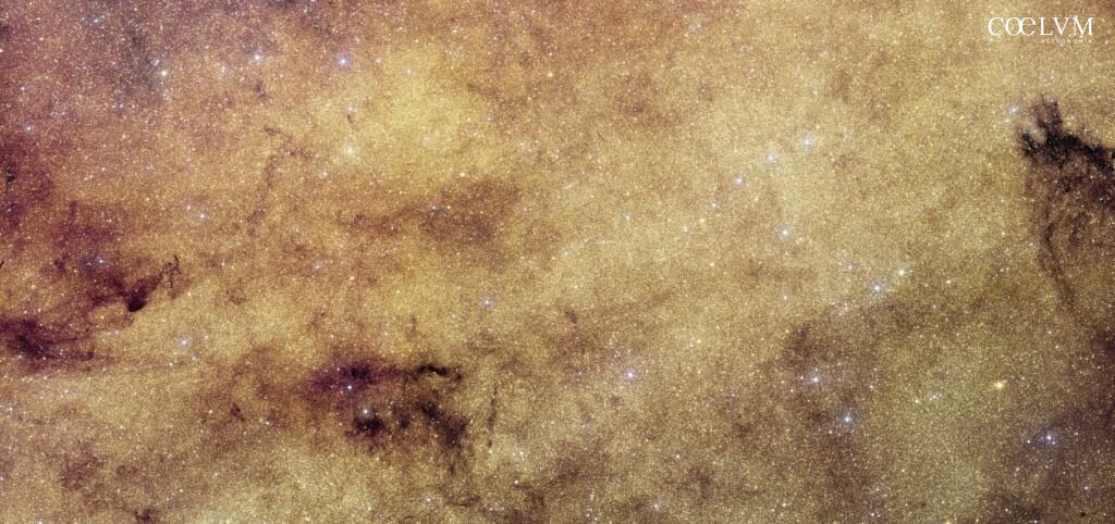 Lo strumento VIS di Euclid cattura milioni di stelle nel centro galattico