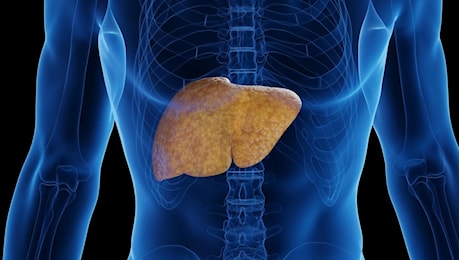 Tumore del fegato, con l'immunoterapia uno su sei vivo a 6 anni