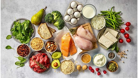 Tofu prima fonte proteica: la classifica di Cambridge batte carne e pesce