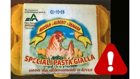 Uova Avicola Alberti Tamara richiamate per rischio chimico: i lotti da controllare