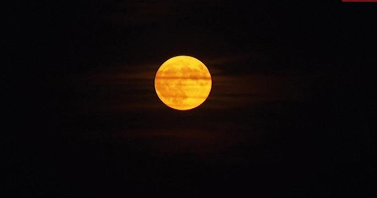 Il cerchio gigante della Luna delle Fragole squarcia il cielo notturno di Vienna