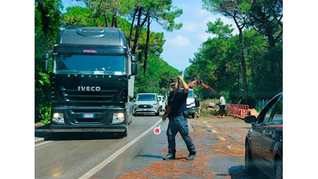 Ravenna, alberi caduti lungo la Romea: “Serve il limite dei 50 all’ora”