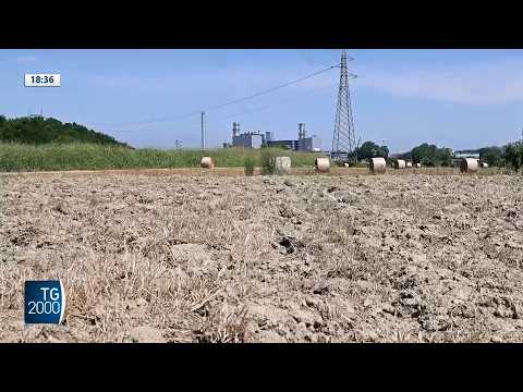 Caldo, la terza ondata. Mercoledì previsti 7 bollini rossi