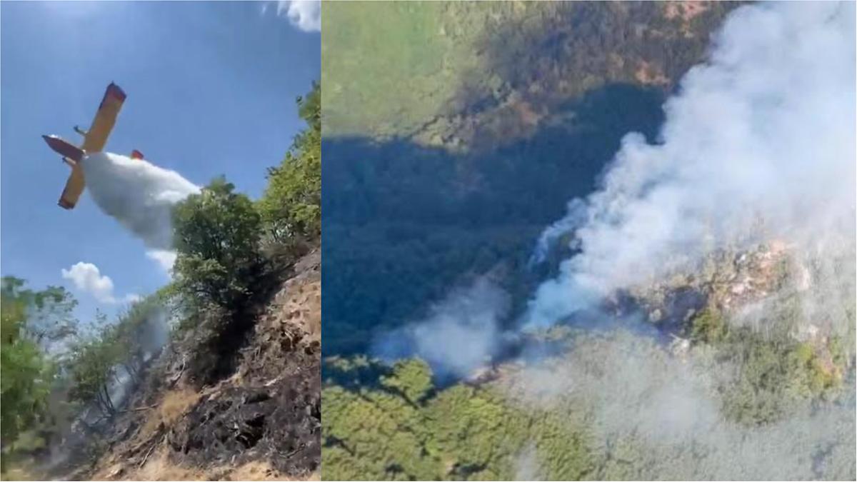 Mugello, incendio in contenimento: oltre 10 ettari di bosco in fumo, numerose squadre in azione