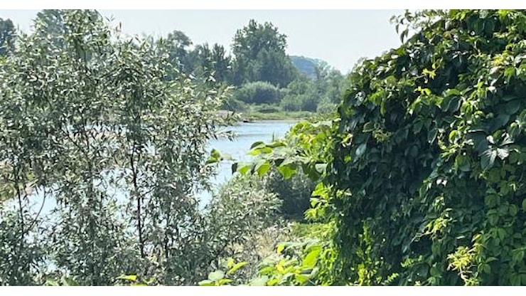 Ritrovato il corpo del ragazzo disperso nel fiume Sesia - La Sesia