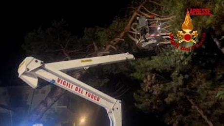 Maltempo in Emilia Romagna, a Forlì alberi abbattuti da raffiche di vento e pioggia