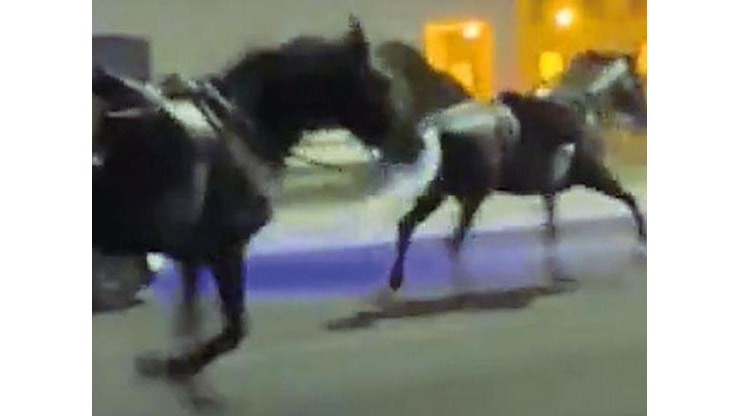 Si indaga sulla fuga di cavalli a Roma: i video da analizzare e il ruolo degli agenti in servizio - Corriere Roma