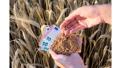 Puglia, 30 milioni per l'agricoltura: 10 contro il caro gasolio e 20 per le filiere