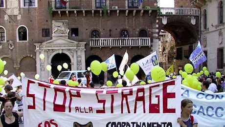 Le associazioni animaliste contro il ddl caccia: «Tutti in piazza per difendere chi non ha voce»