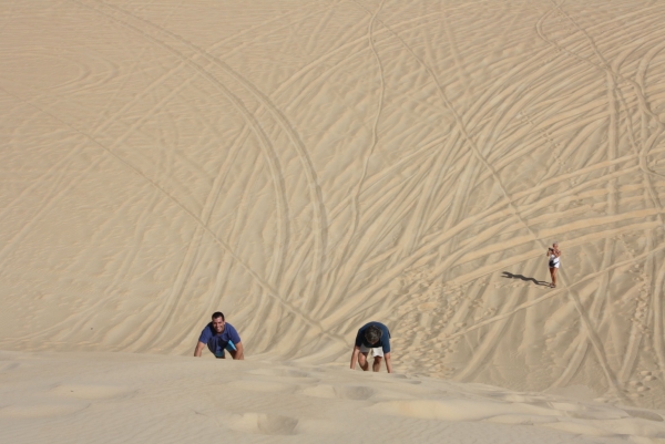 Colleghi alla conquista del deserto